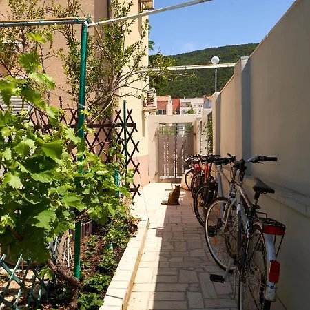 Nives * Cres