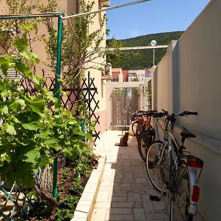 Nives * Cres